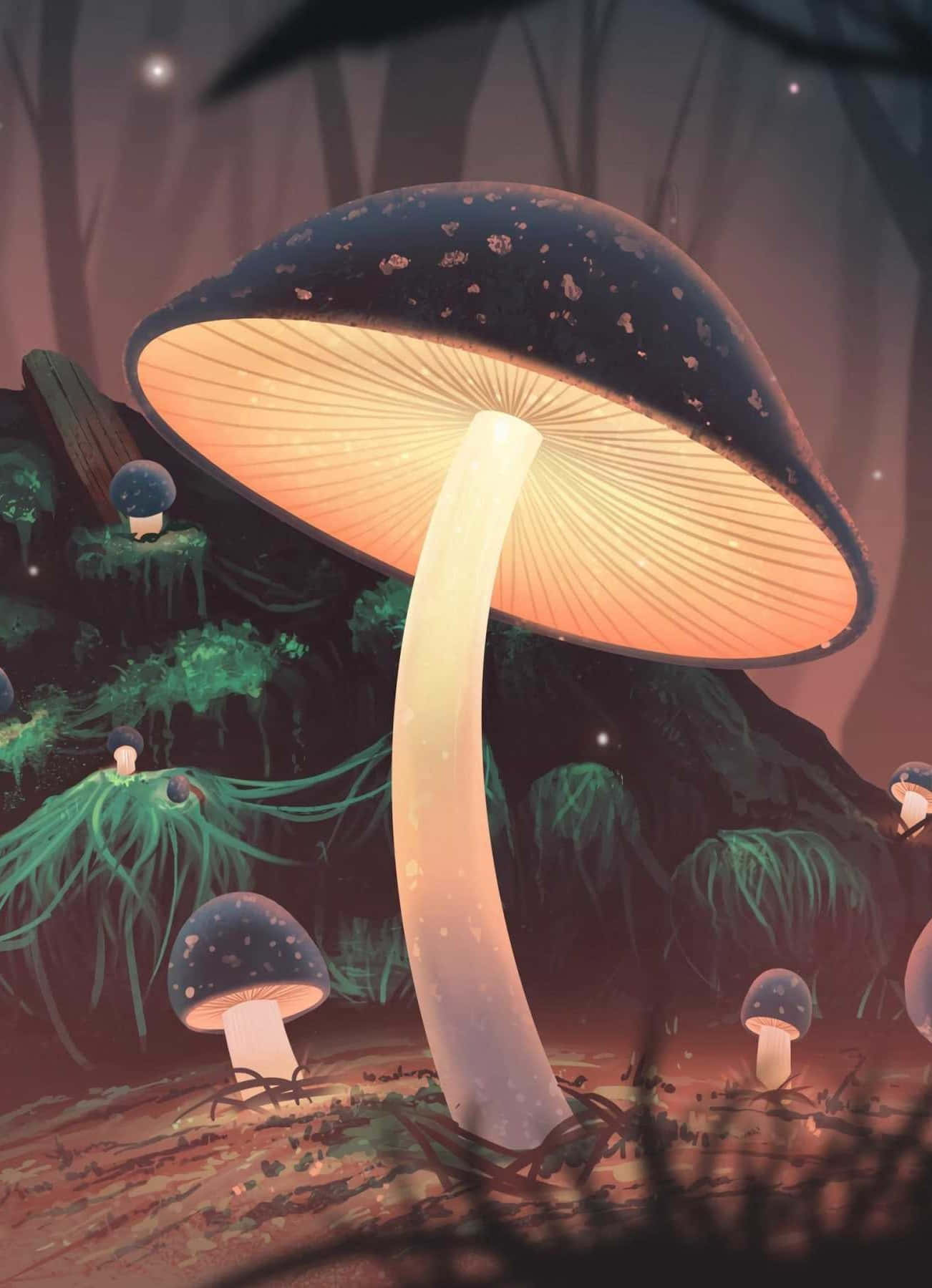 A Forest With Many Mushrooms In The Background Wallpaper