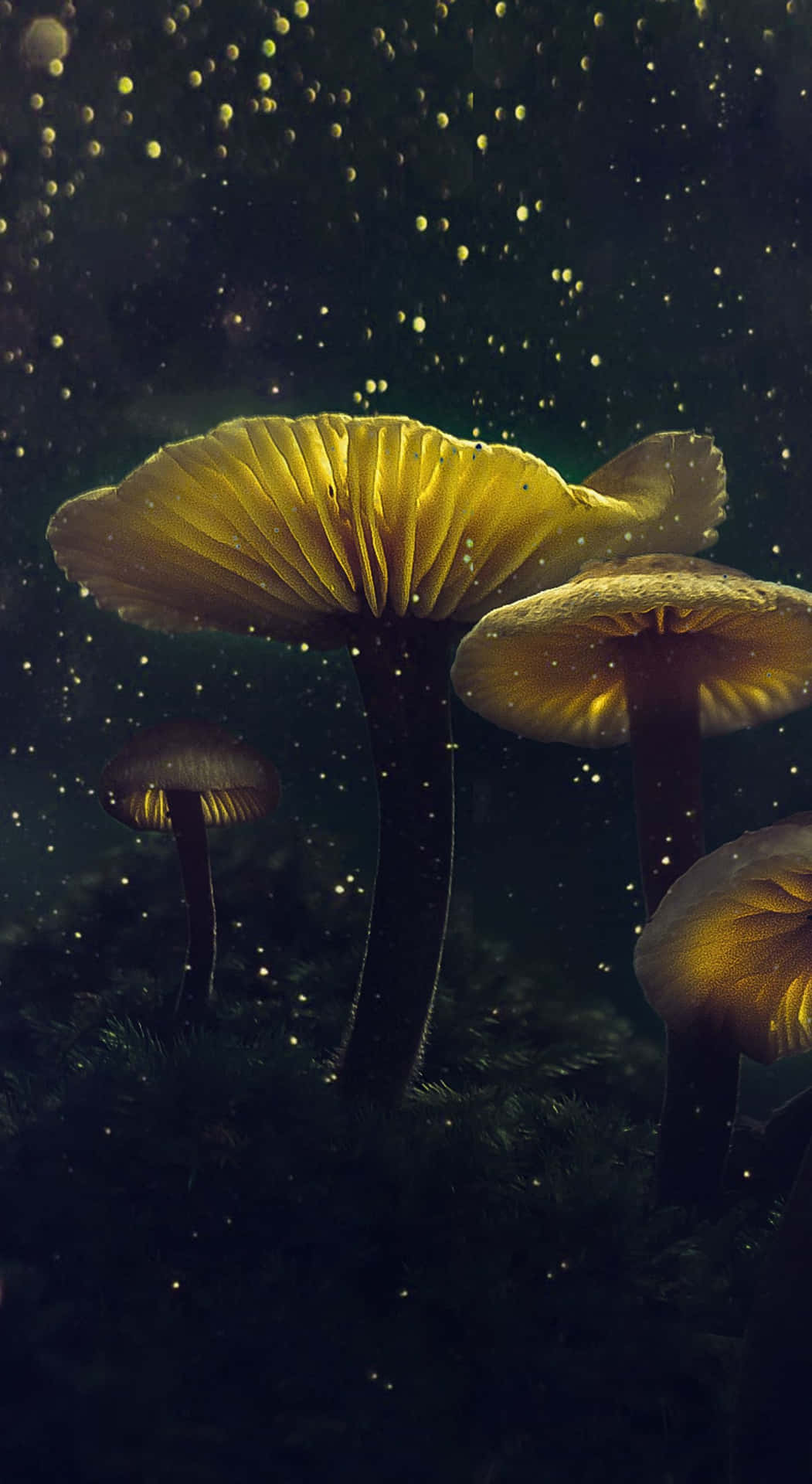 A Group Of Mushrooms In The Dark With Stars Wallpaper