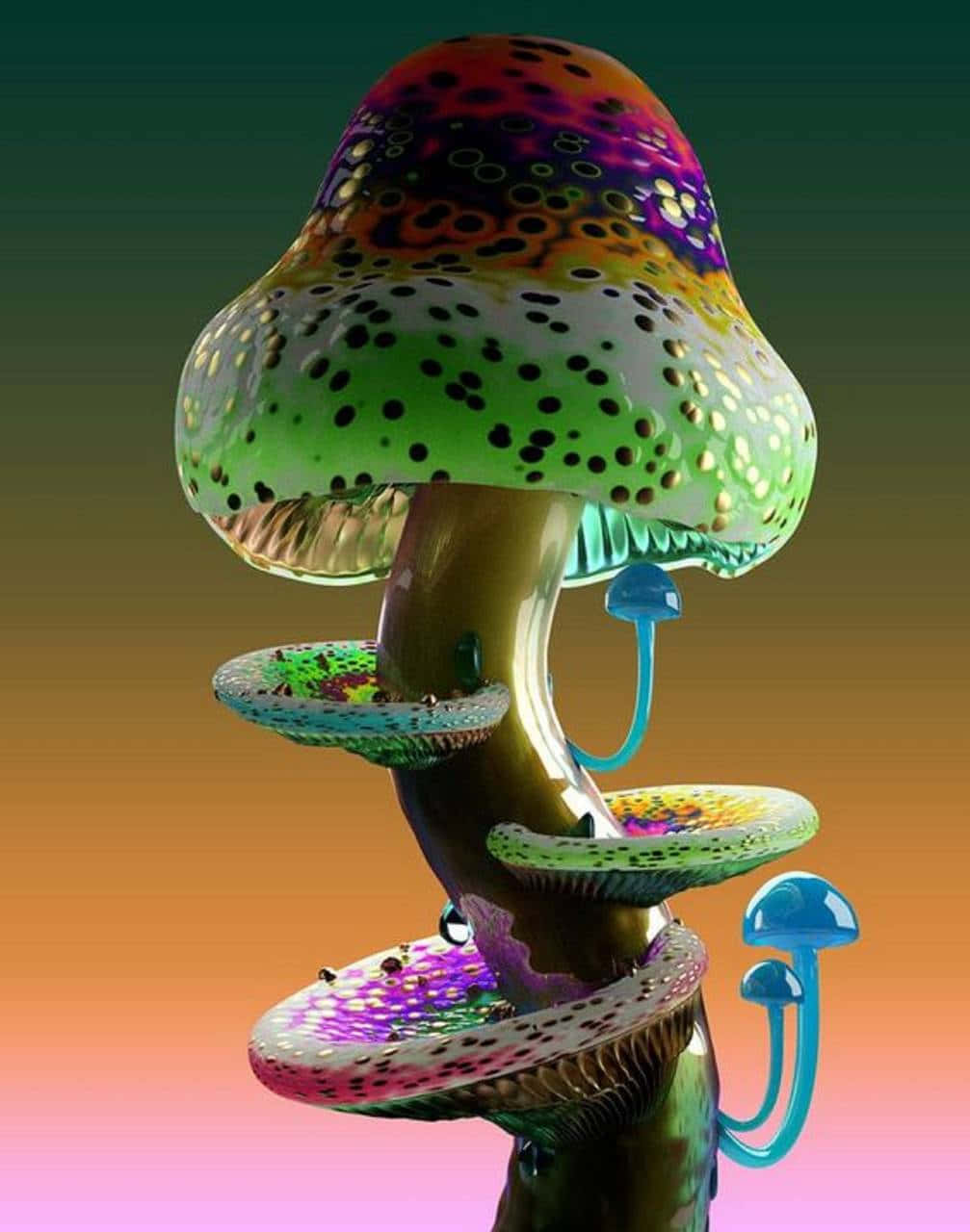 En farvestrålende svamp med et regnbuefarvet design Wallpaper