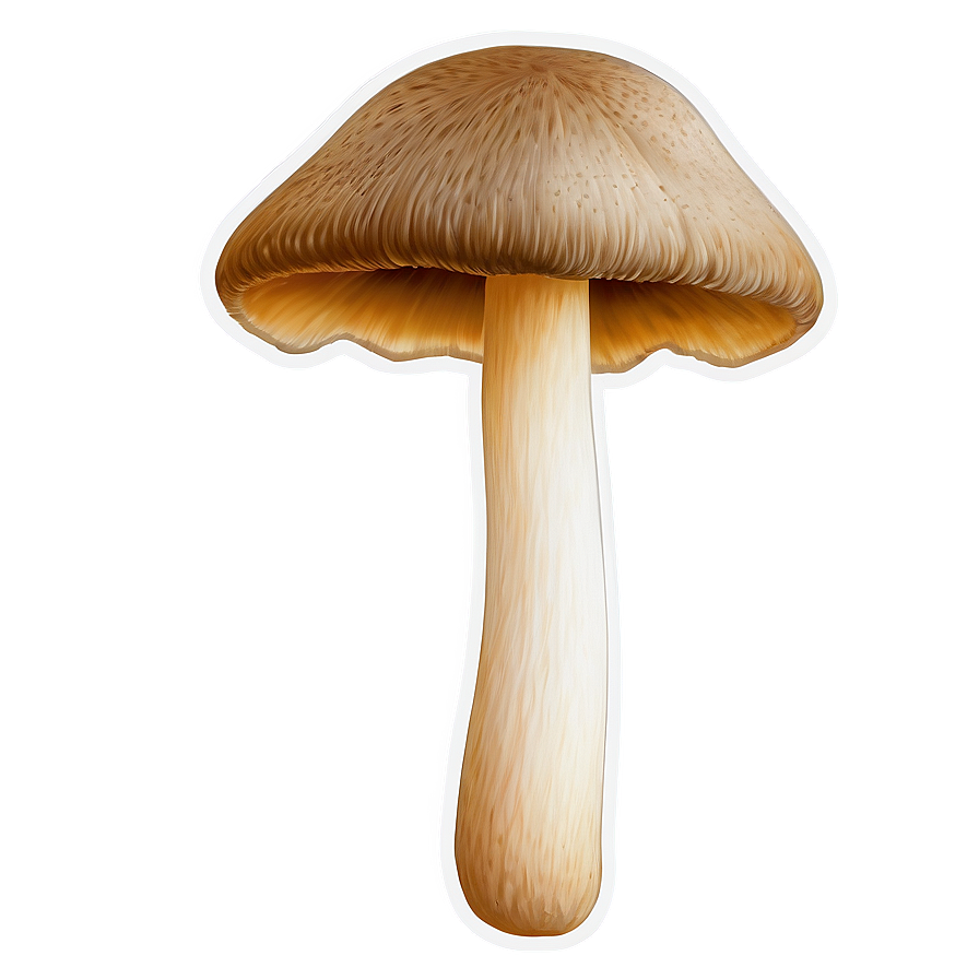 Mushroom Png Clipart 4 PNG
