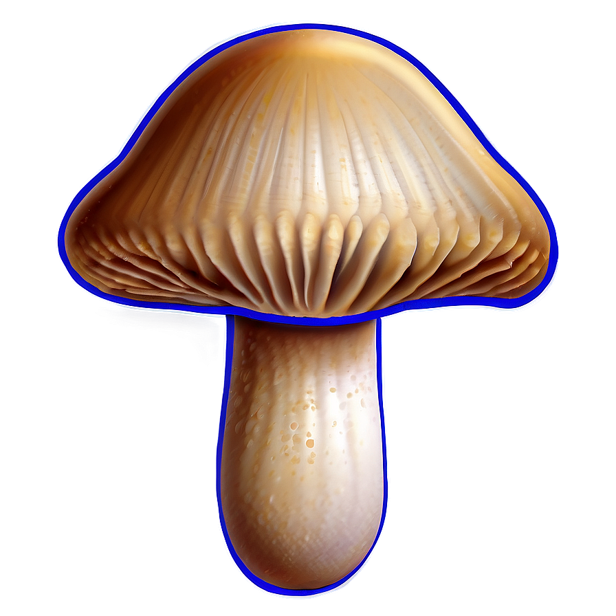 Mushroom Png Outline Blb PNG