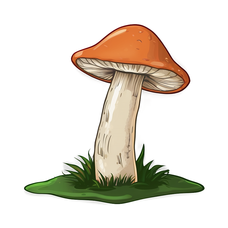 Mushroom Png Sketch 05032024 PNG