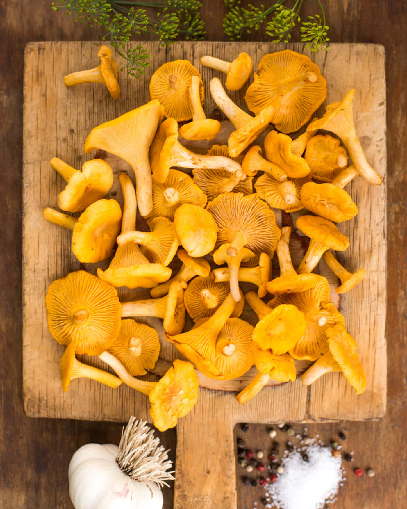 Assorted Mushroom Types in Natural Environment