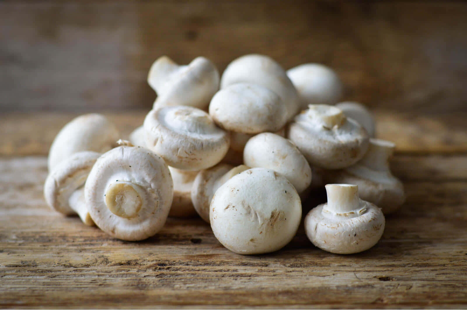 A Unique Assortment of Mushroom Types