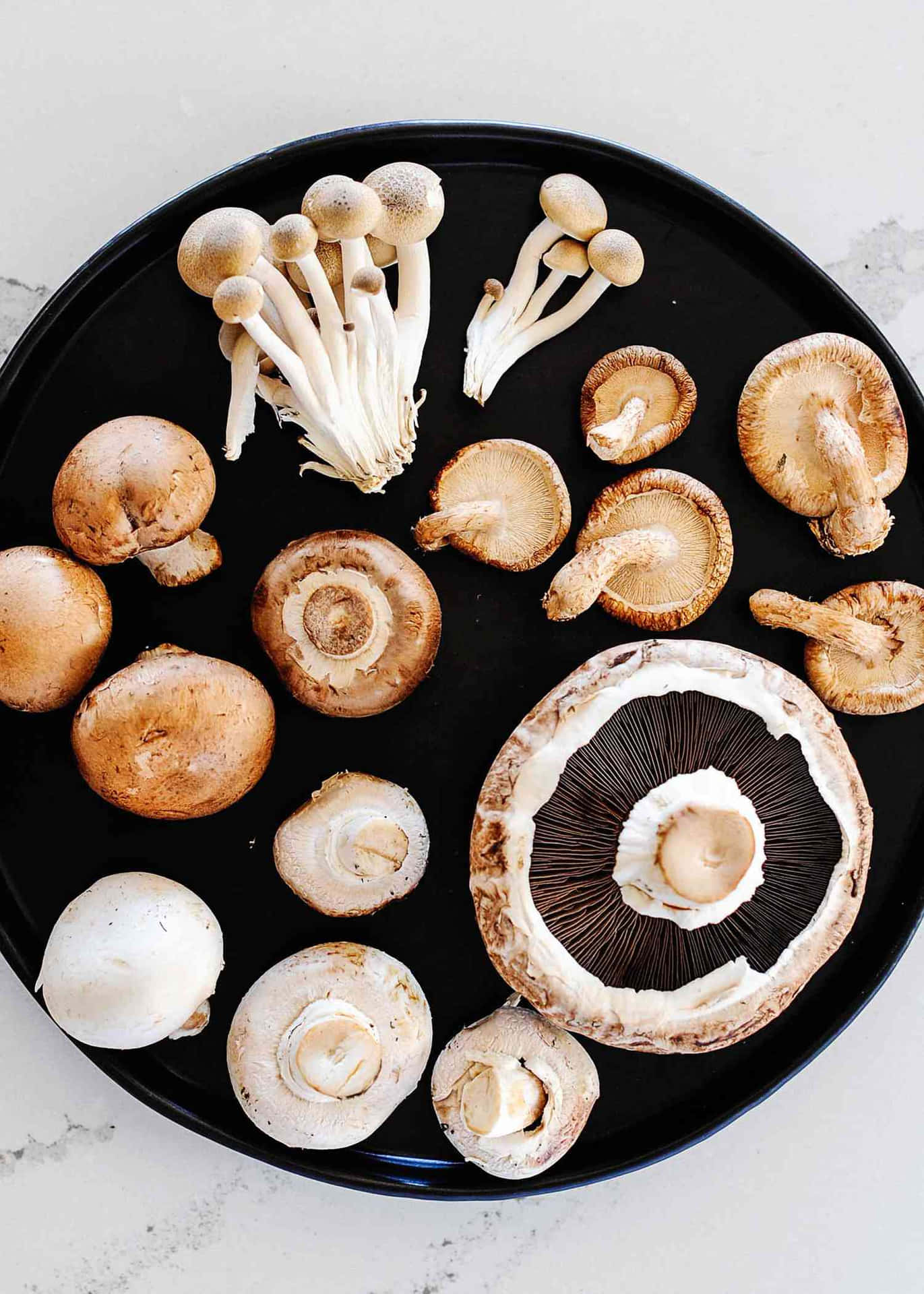 Cute Mushroom Types Pictures