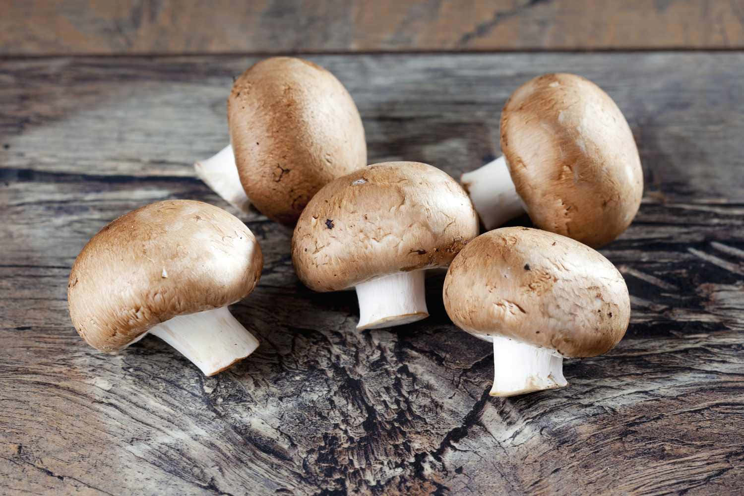 Healthy Mushroom Types Pictures