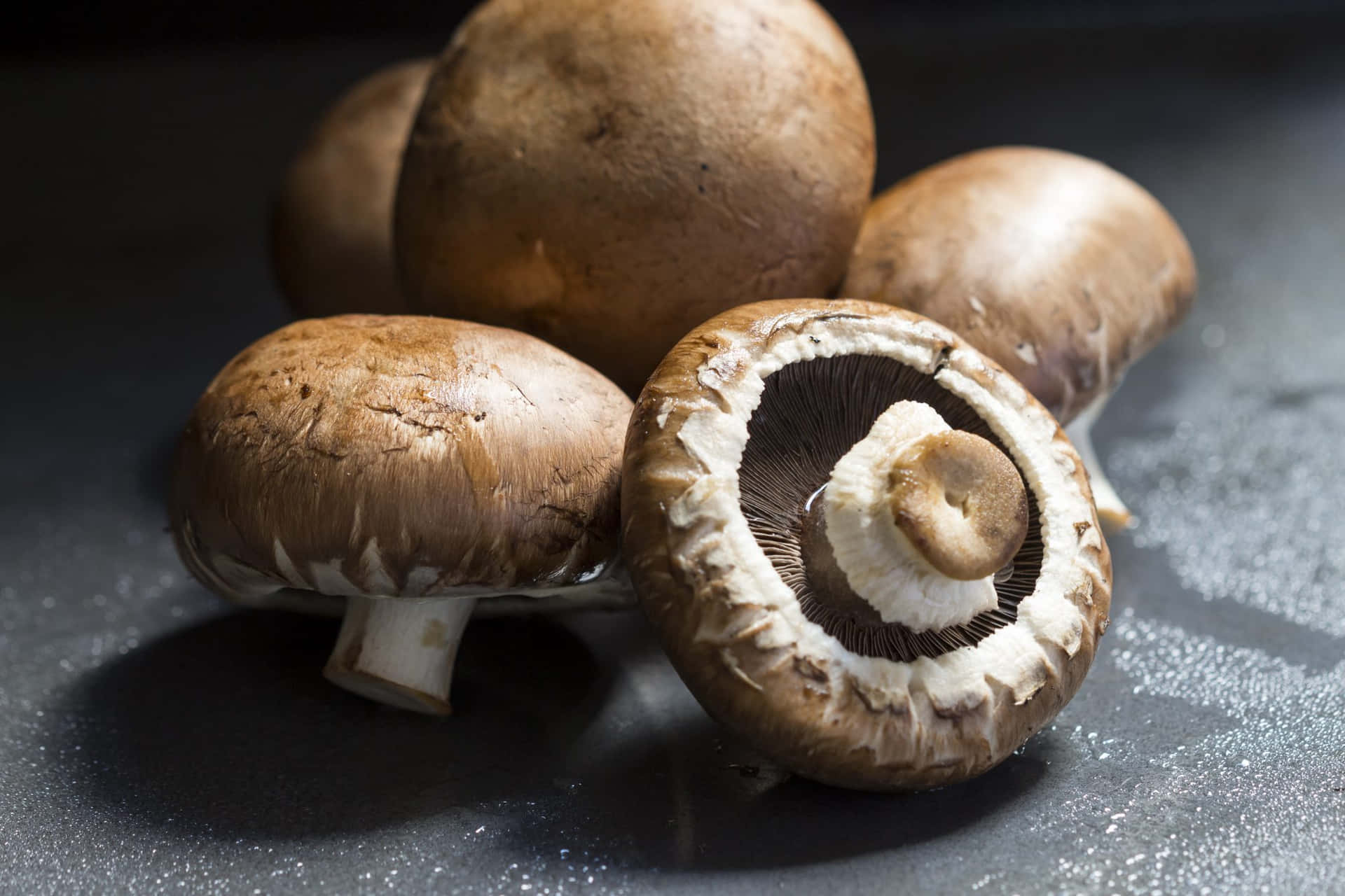Seasonal Mushroom Types Pictures
