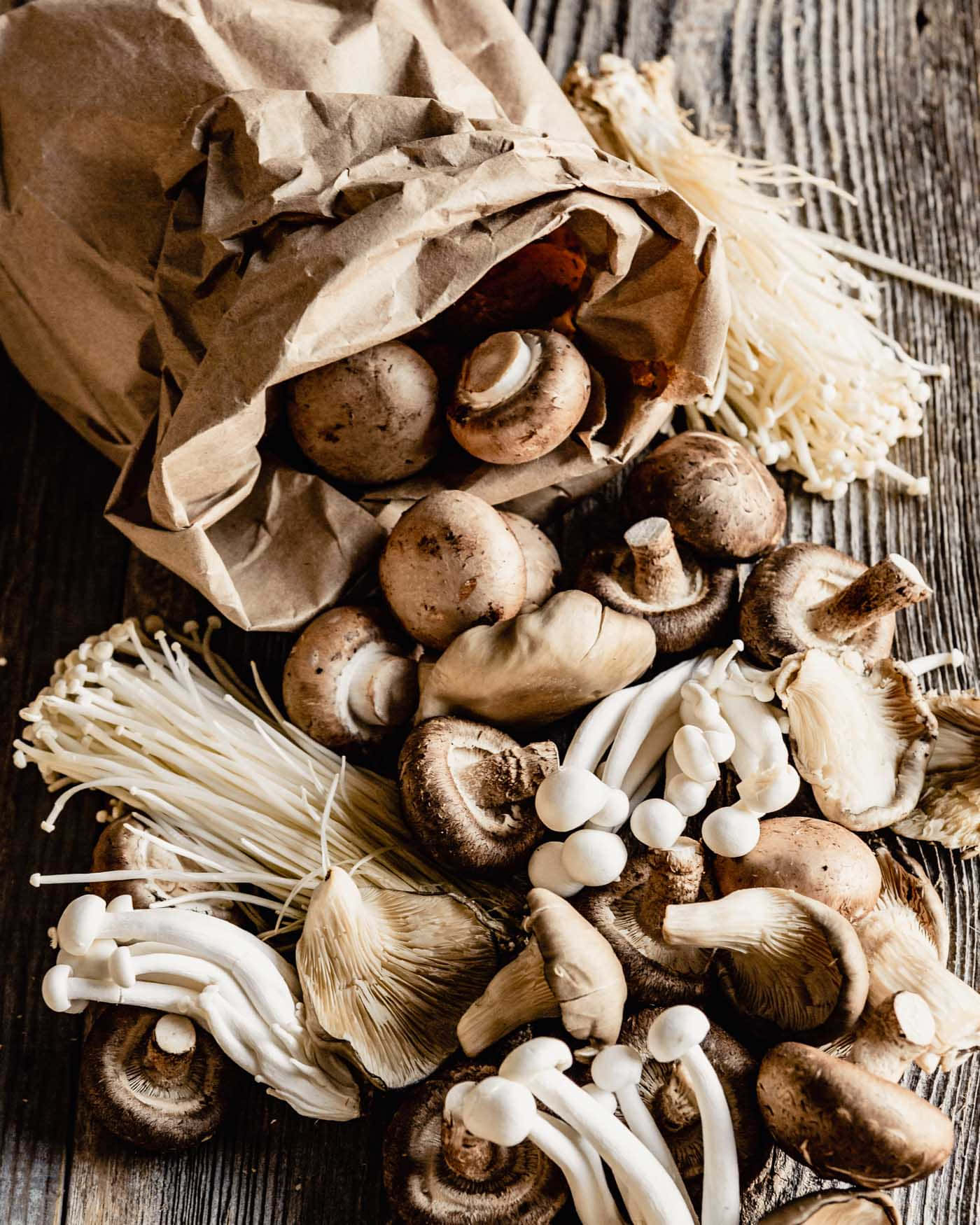 Caption: Assorted Variety of Edible Mushrooms