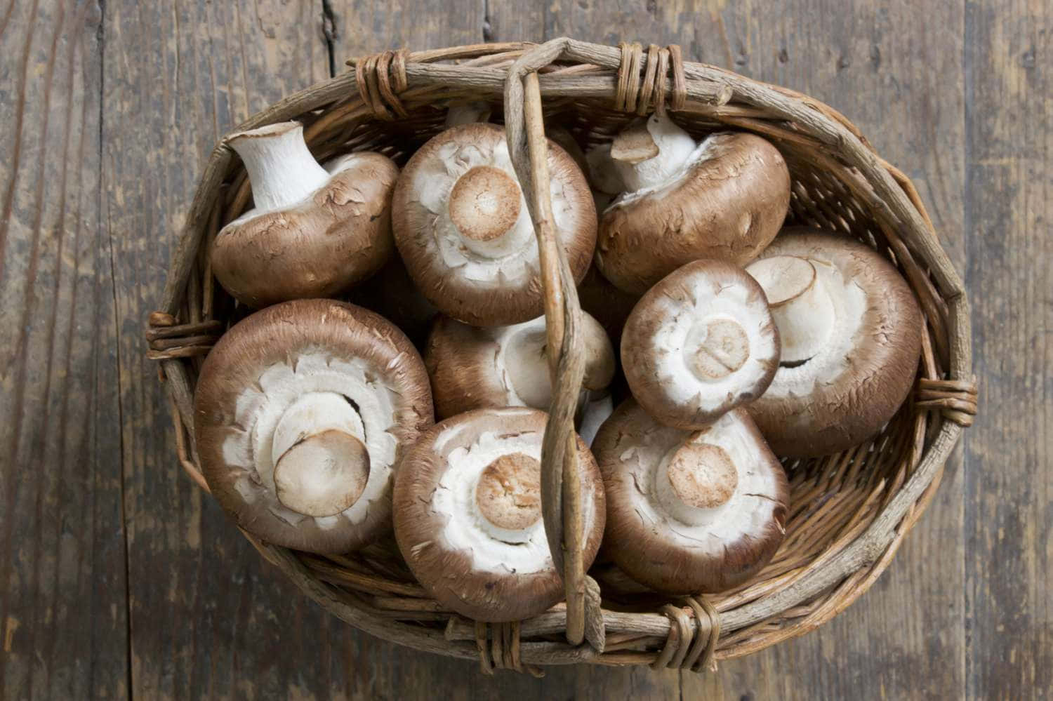 Imagensde Deliciosos Tipos De Cogumelos.