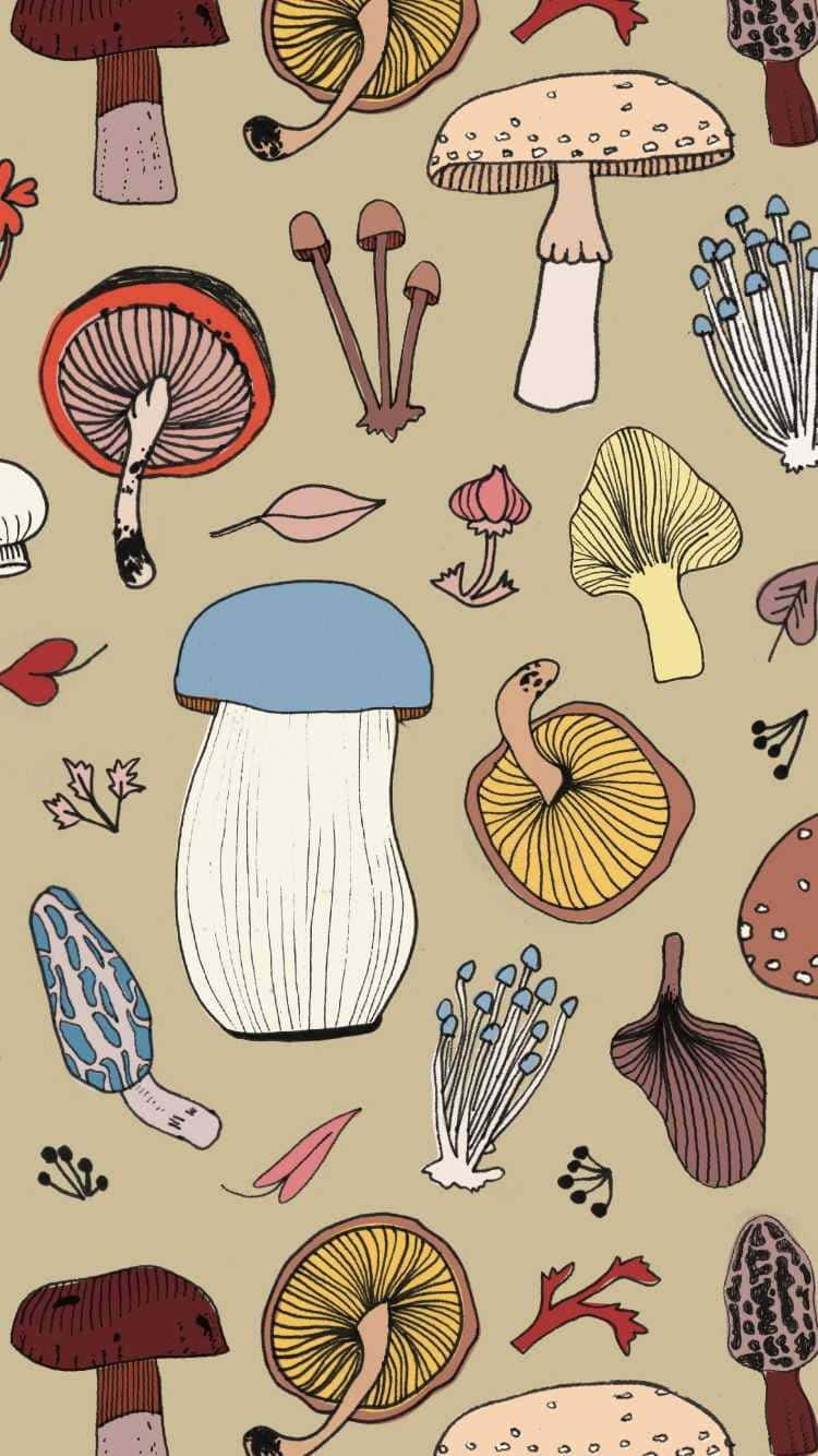 Mushroom Variety Pattern_ Earthy Aesthetic.jpg Wallpaper