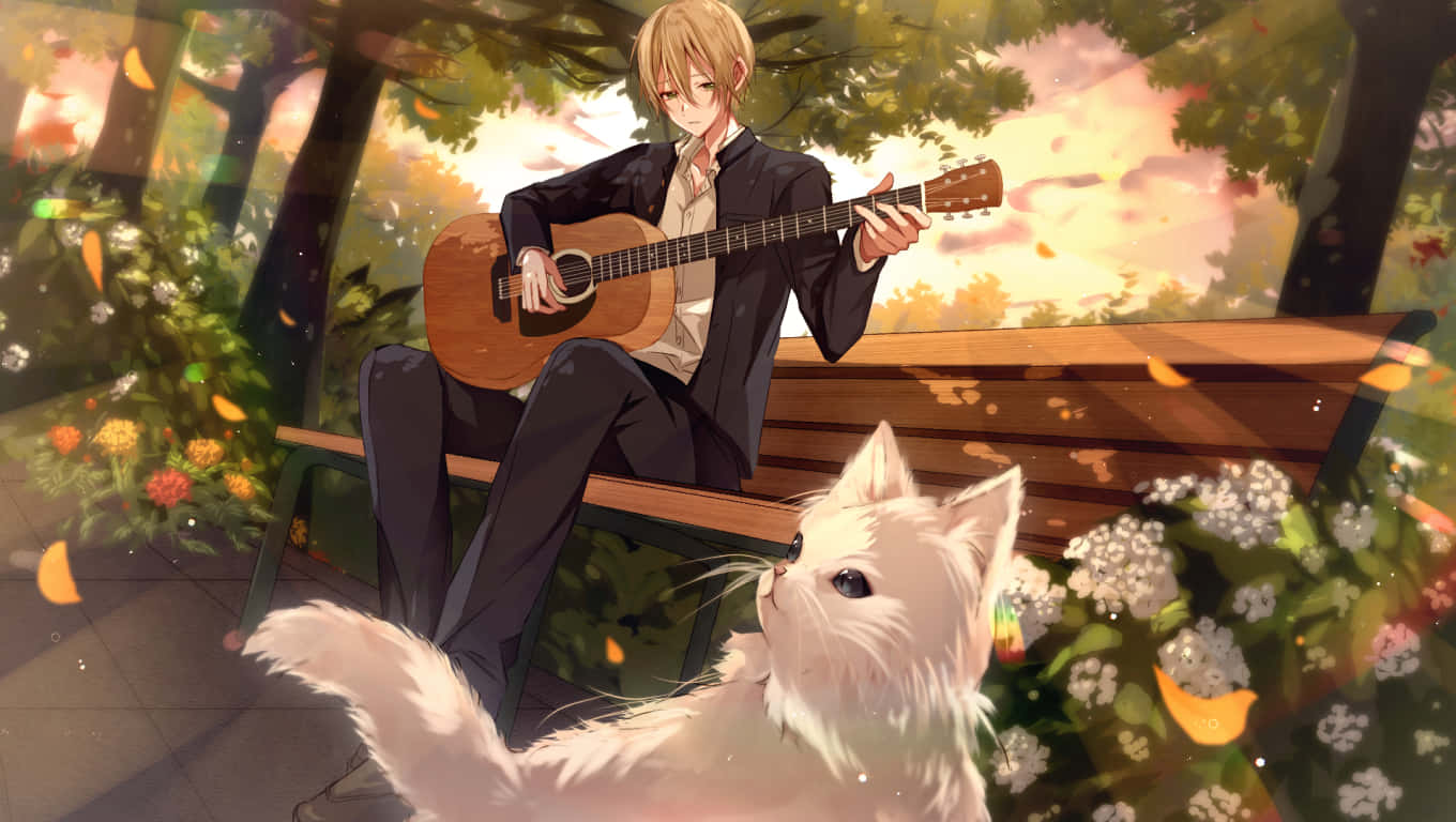 Music Anime Guitar And White Cat Wallpaper