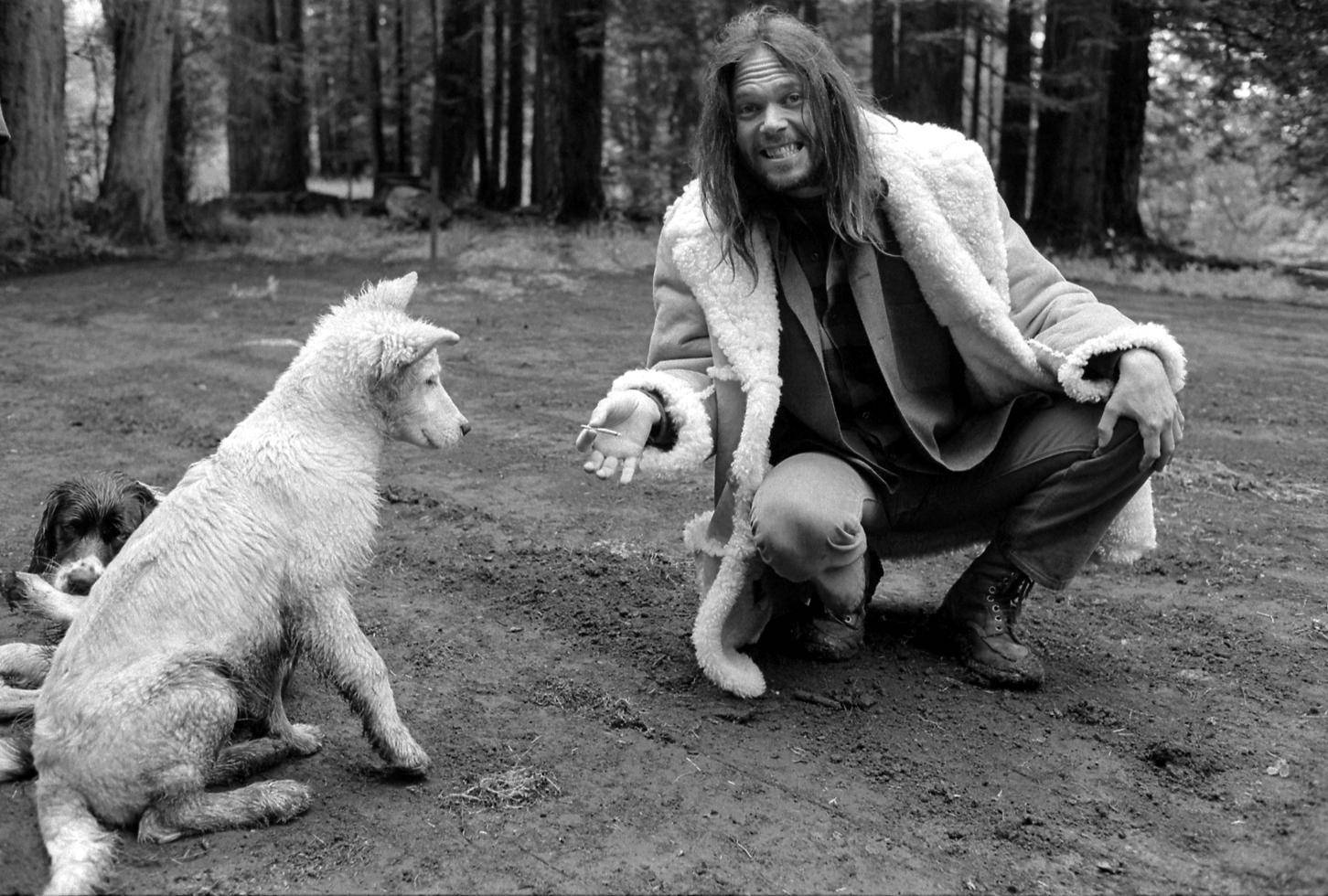 Music Artist Neil Young Black And White Wallpaper
