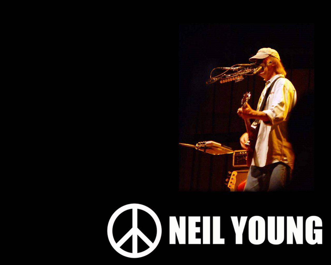 Music Legend Neil Young Digital Art Wallpaper