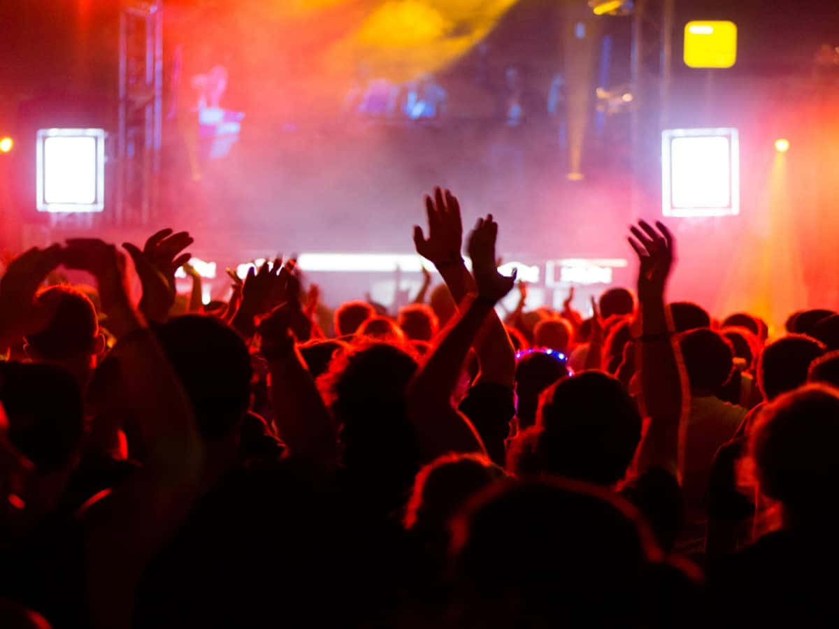 Bildvon Tanzenden Menschenmengen Auf Einem Musikfestival