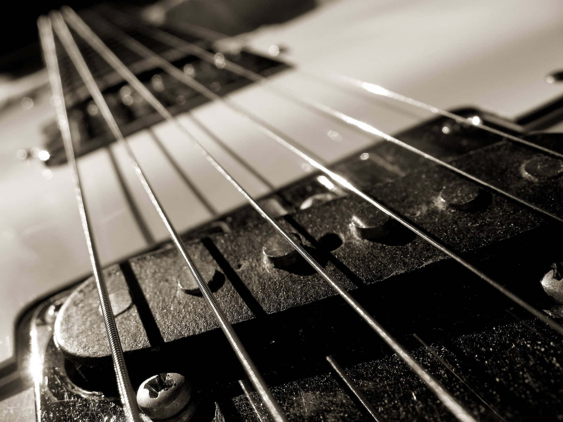Guitar Musical Instrument Close-up Picture