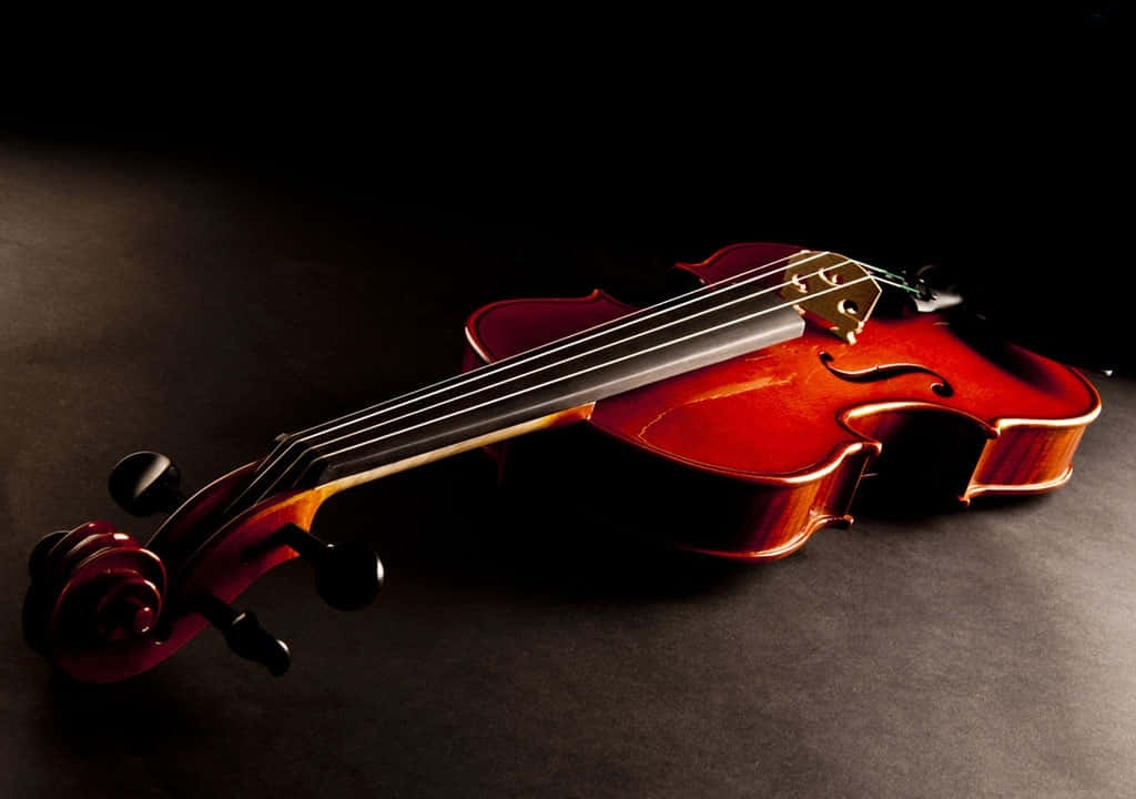 Musical Instrument Red Violin Black Floor Picture