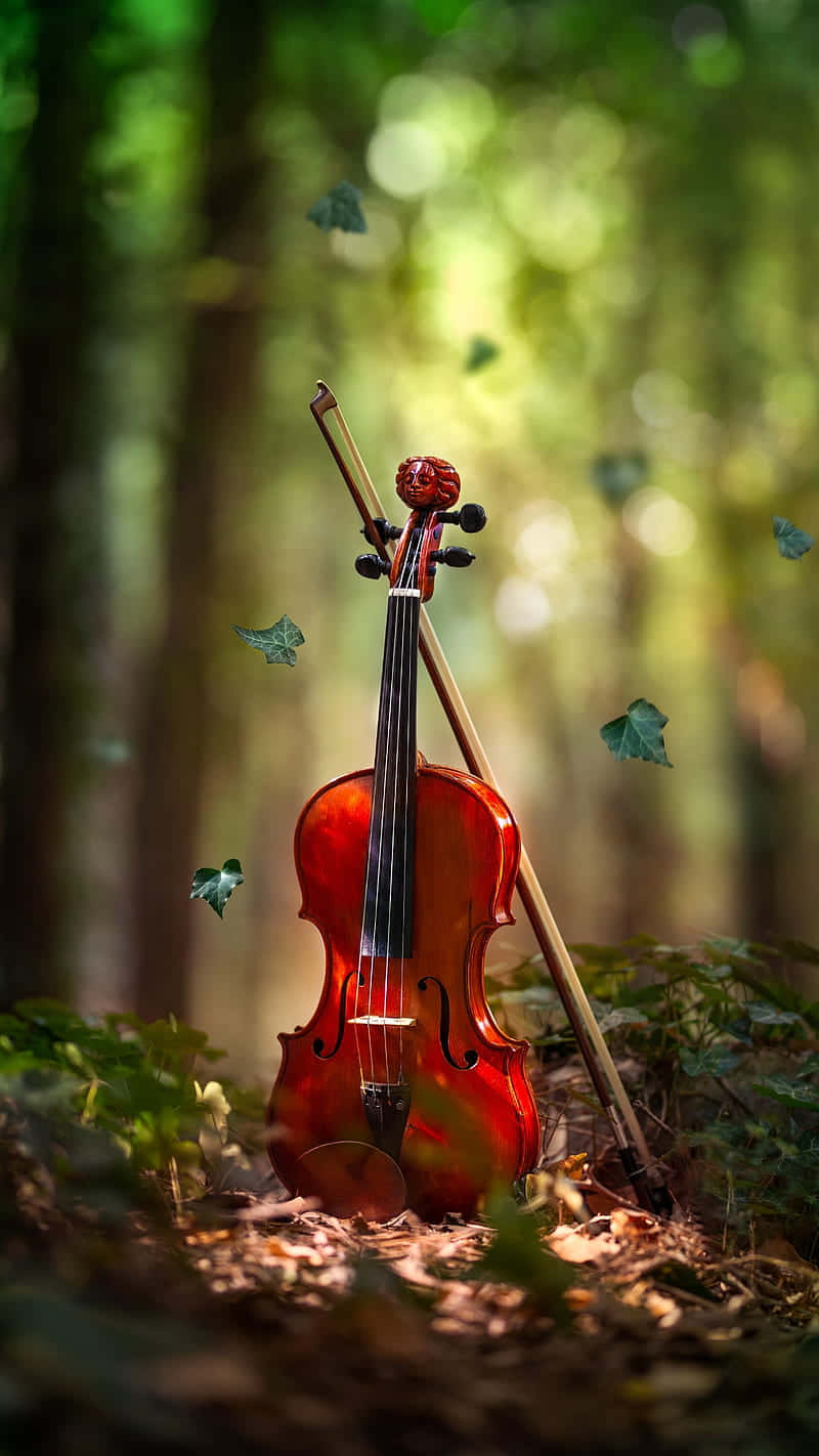 Imagende Un Violín En El Bosque Con Instrumentos Musicales