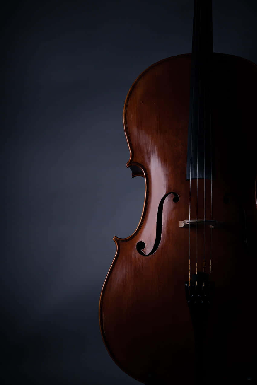Musical Instrument Brown Cello Picture
