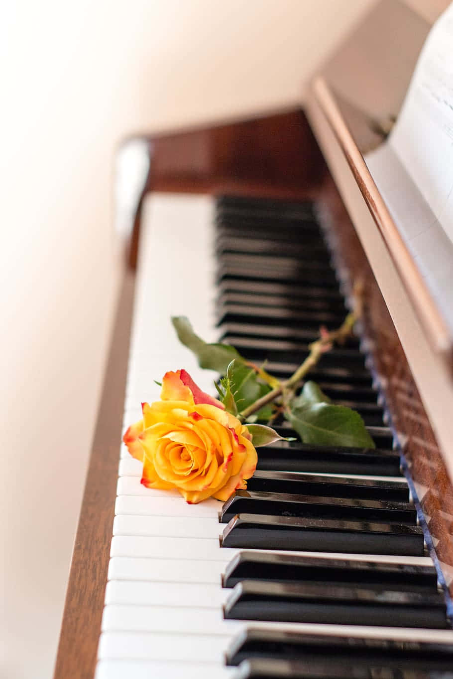 Musical Instrument Piano With Rose Picture