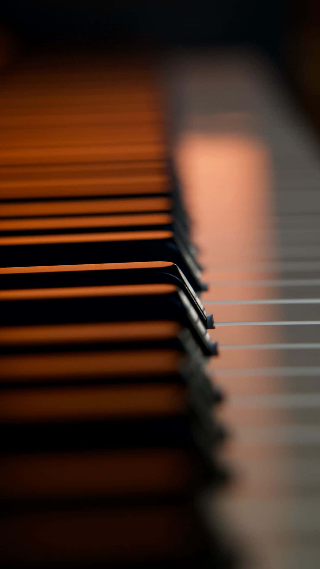 Musical Instrument Piano Keys Close-up Picture