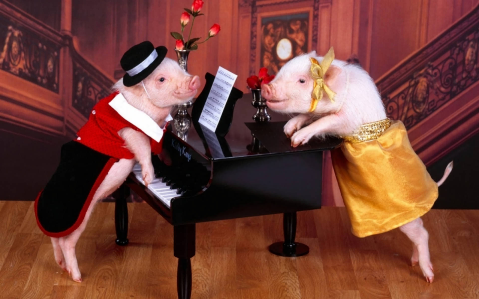 Musician Pigs In Costumes Wallpaper