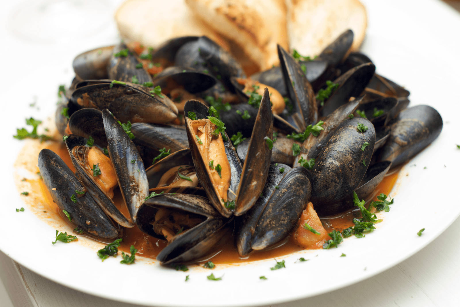 Mussel And Clam Soup Seafood Dish Wallpaper