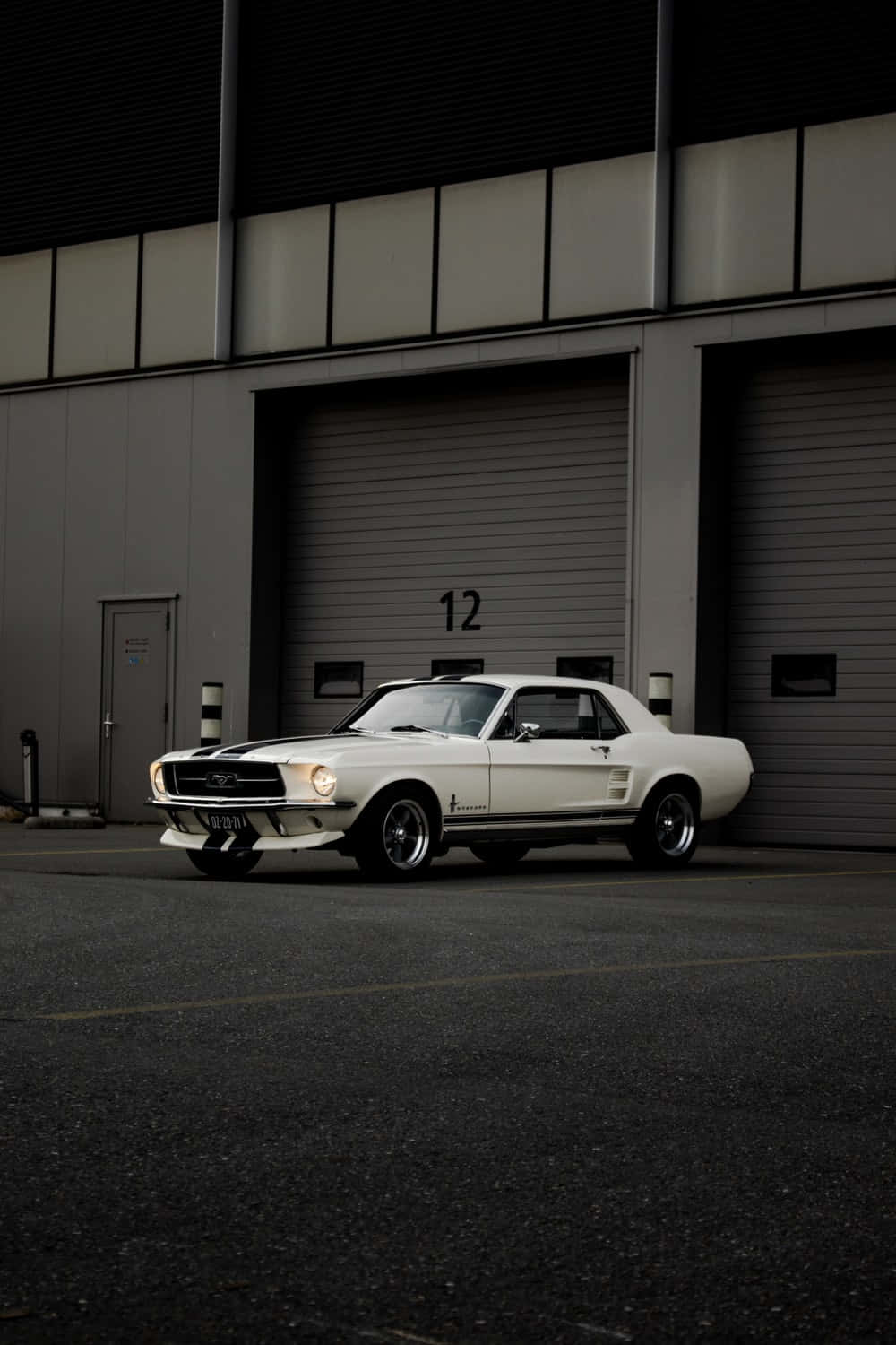 Mustang1000 X 1500 Bakgrundsbild