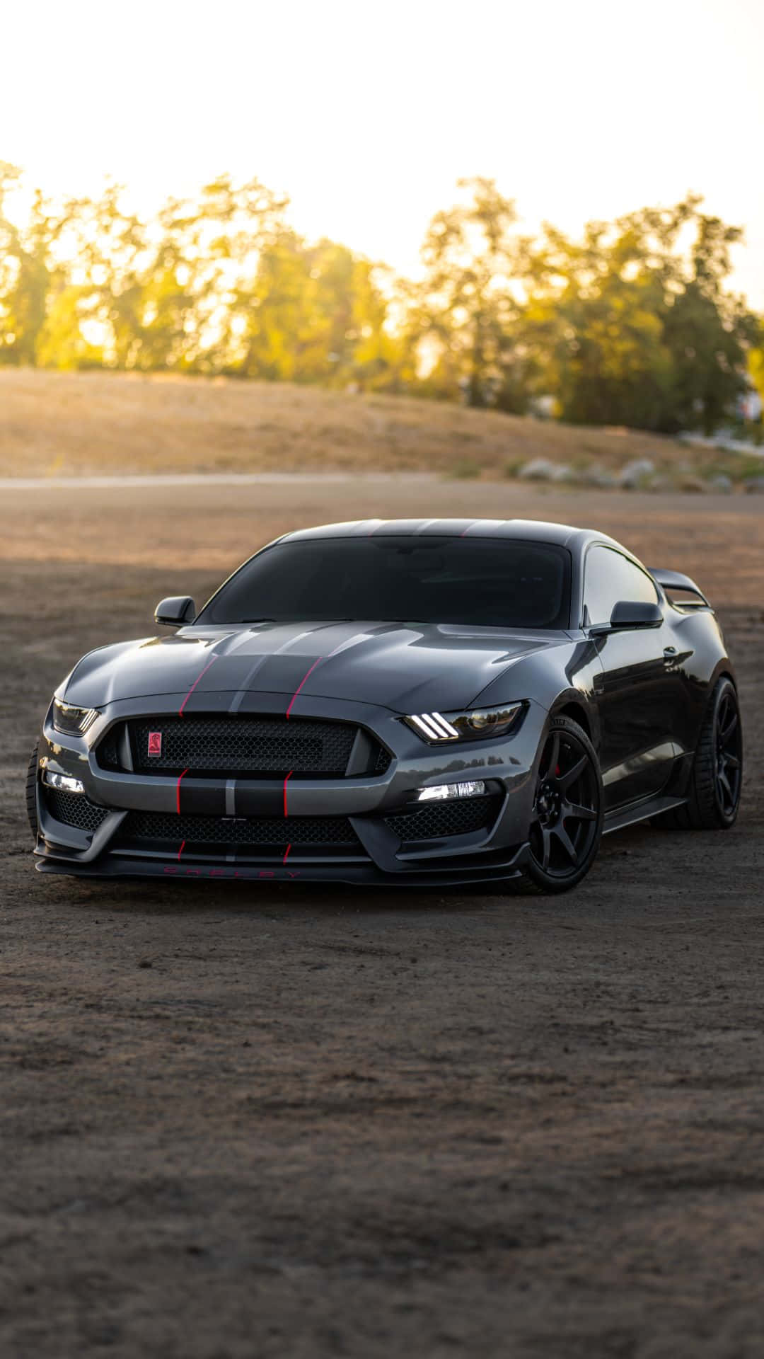 Stunning Ford Mustang in Motion