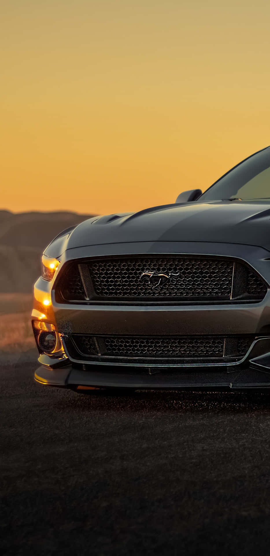 Sleek and Powerful Ford Mustang in Nature