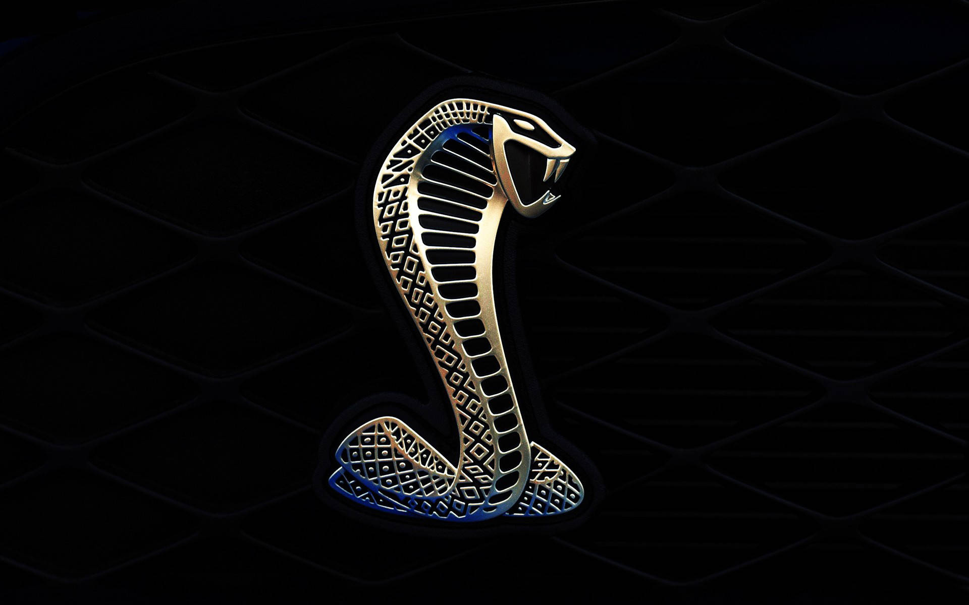 Mustanghd Cobra Logotyp Svart (referring To A Potential Computer Or Mobile Wallpaper Featuring A High Definition Image Of The Black Cobra Logo For The Mustang Car Brand). Wallpaper