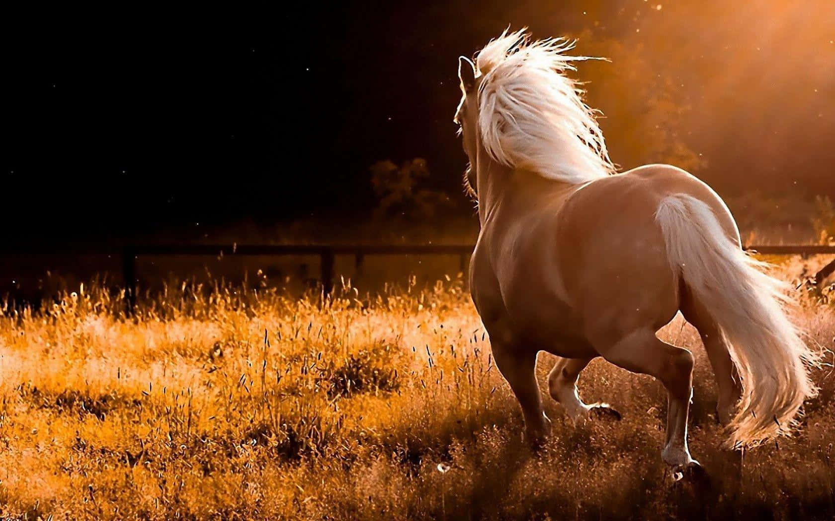 Immaginedi Un Mustang Cavallo Che Corre Vista Posteriore