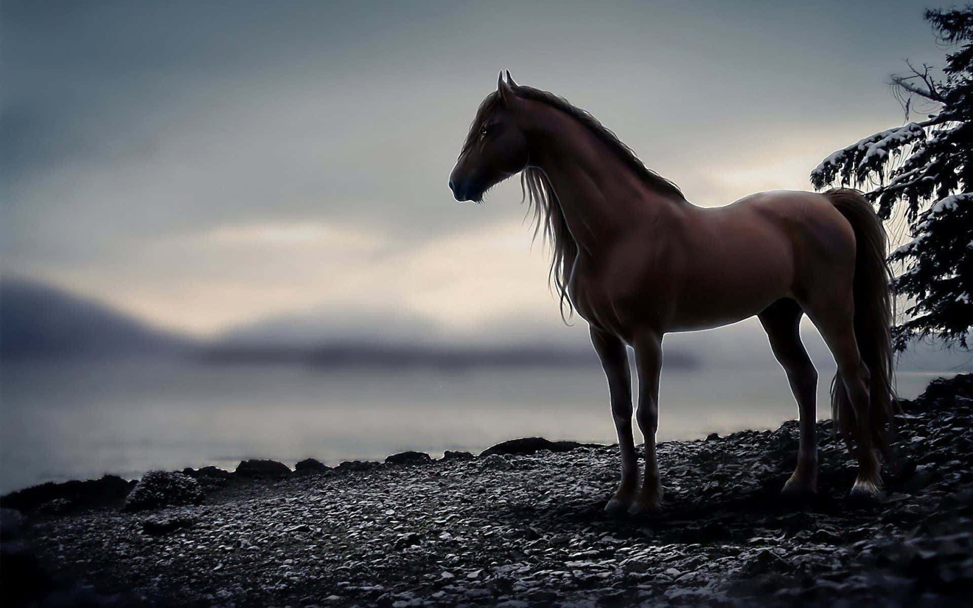 Immaginedi Un Cavallo Mustang In Piedi Su Una Riva Rocciosa.