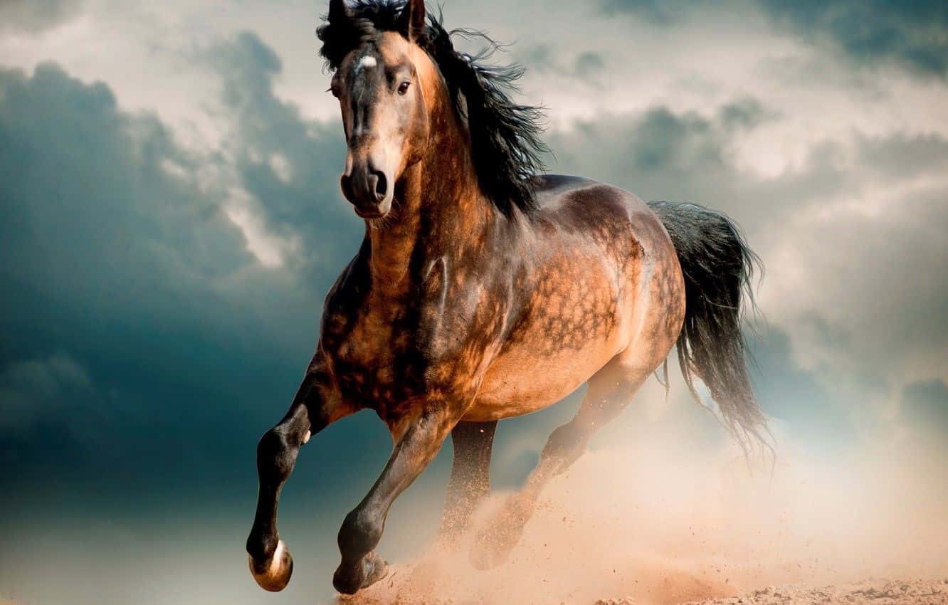 Majestic Mustang Horse Roaming Wild in Open Fields