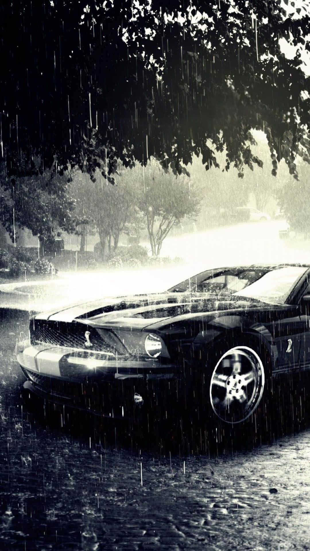 Experience the thrill of owning a Mustang by downloading the official Mustang iPhone app Wallpaper