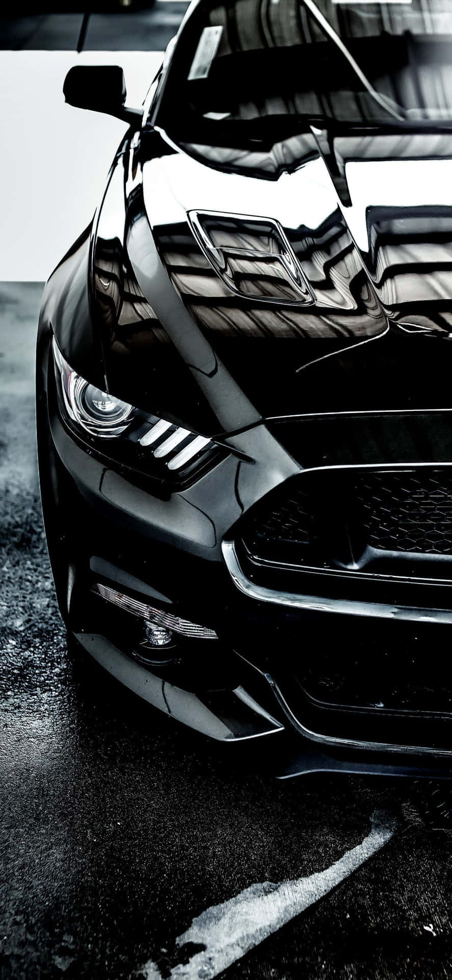 HD Mustang Wallpapers | Ford mustang logo, Mustang wallpaper, Mustang logo