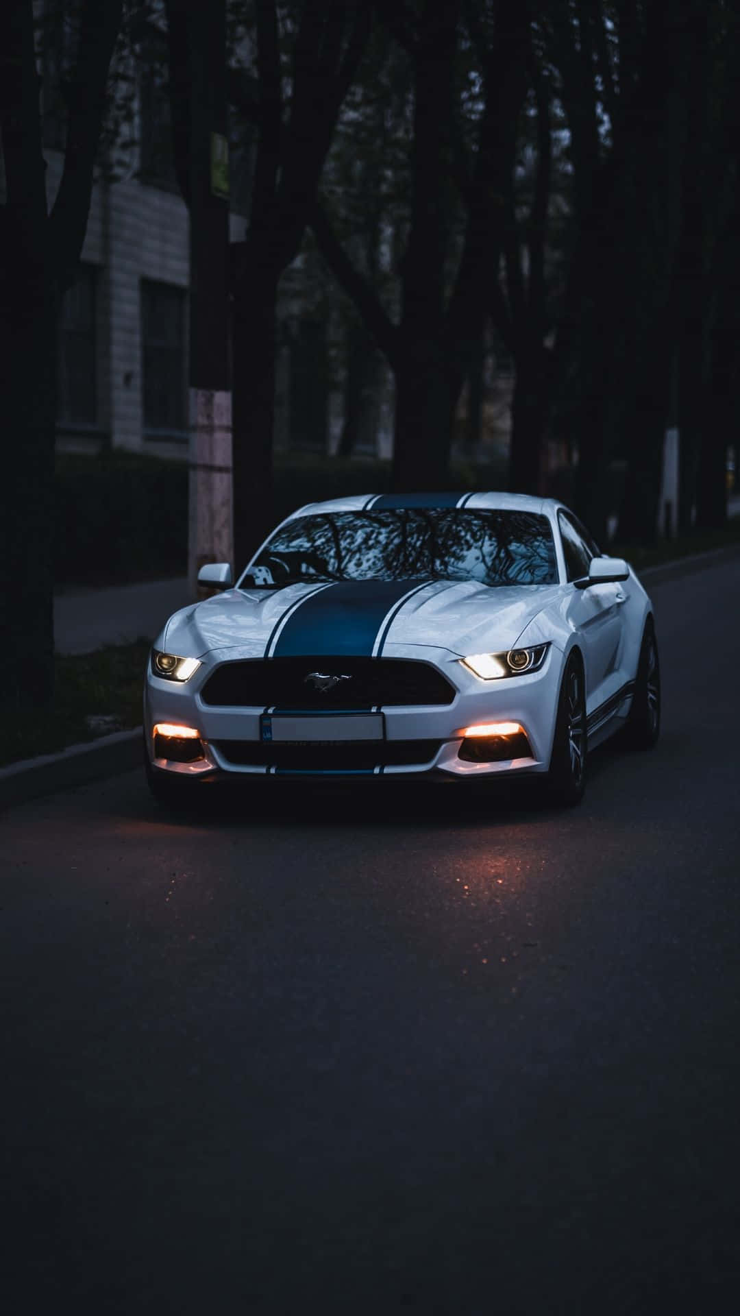 Ford Mustang 4k iPhone Wallpapers  Wallpaper Cave