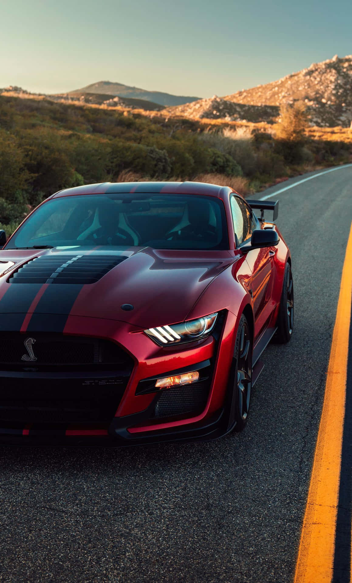 Erlebensie Die Geschwindigkeit Und Kraft In Jeder Meile Dank Dem Mustang Iphone. Wallpaper