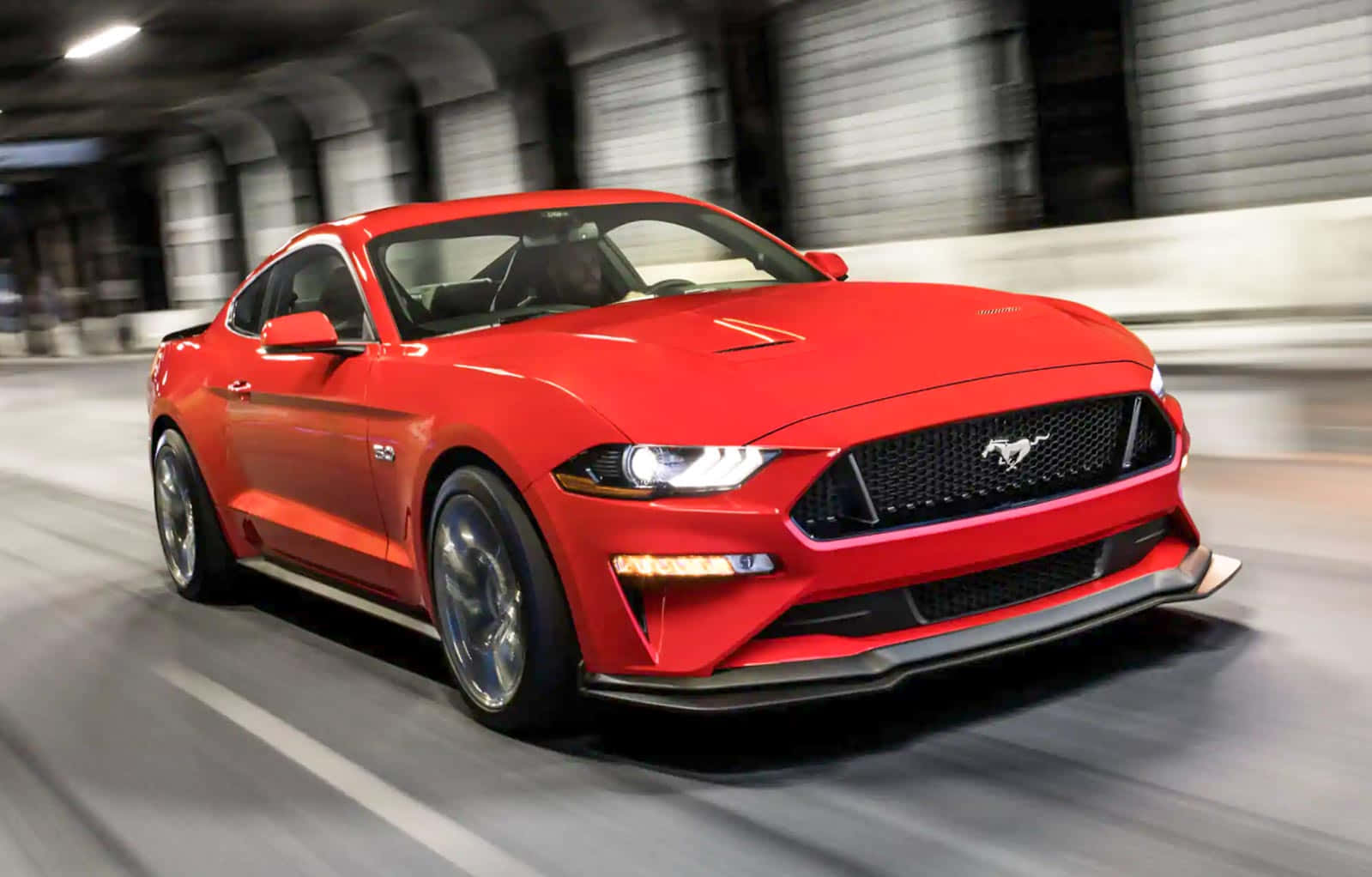 Speed Thrills - Take a Ride on the Mustang