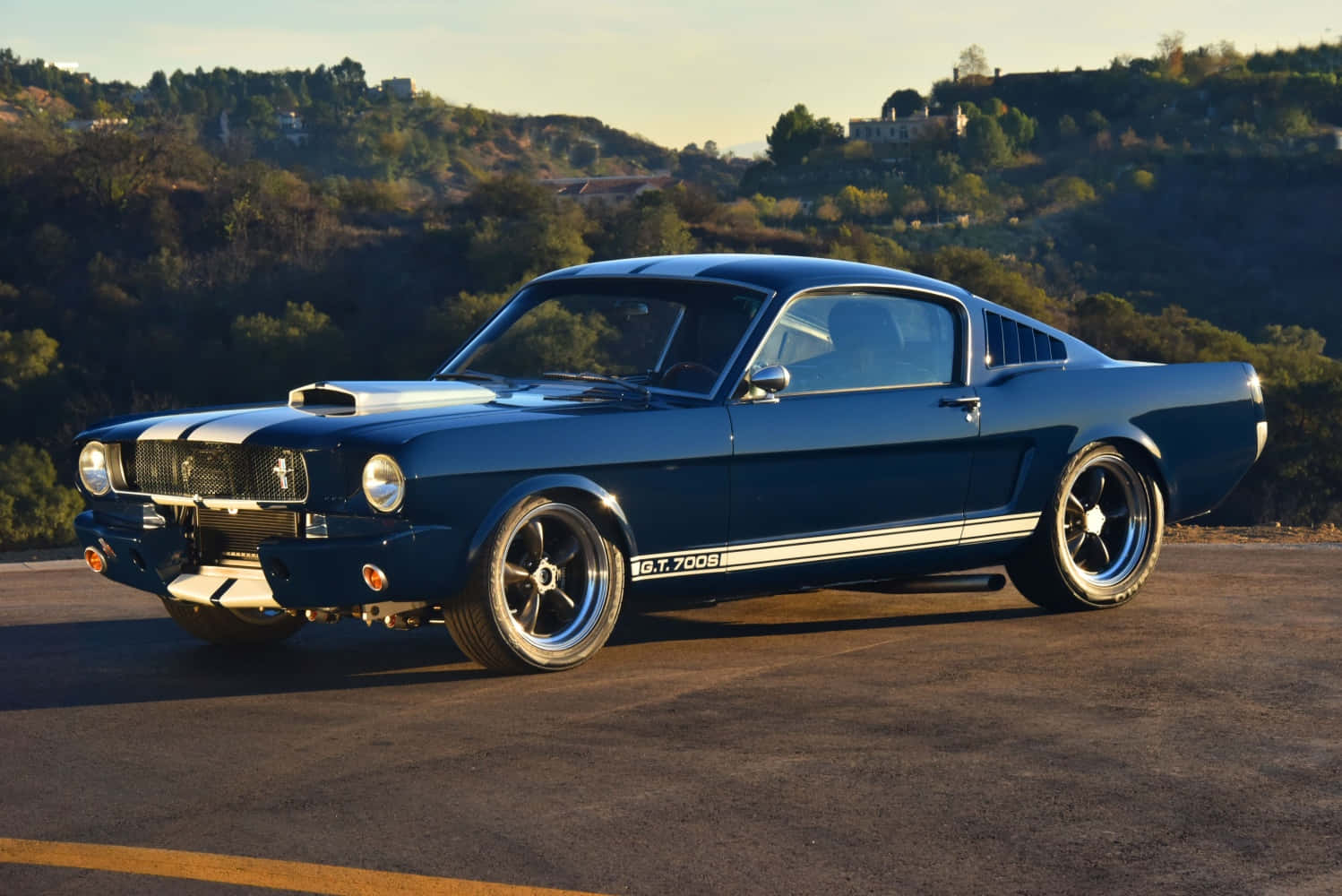 A Blue Mustang Is Parked On A Hillside