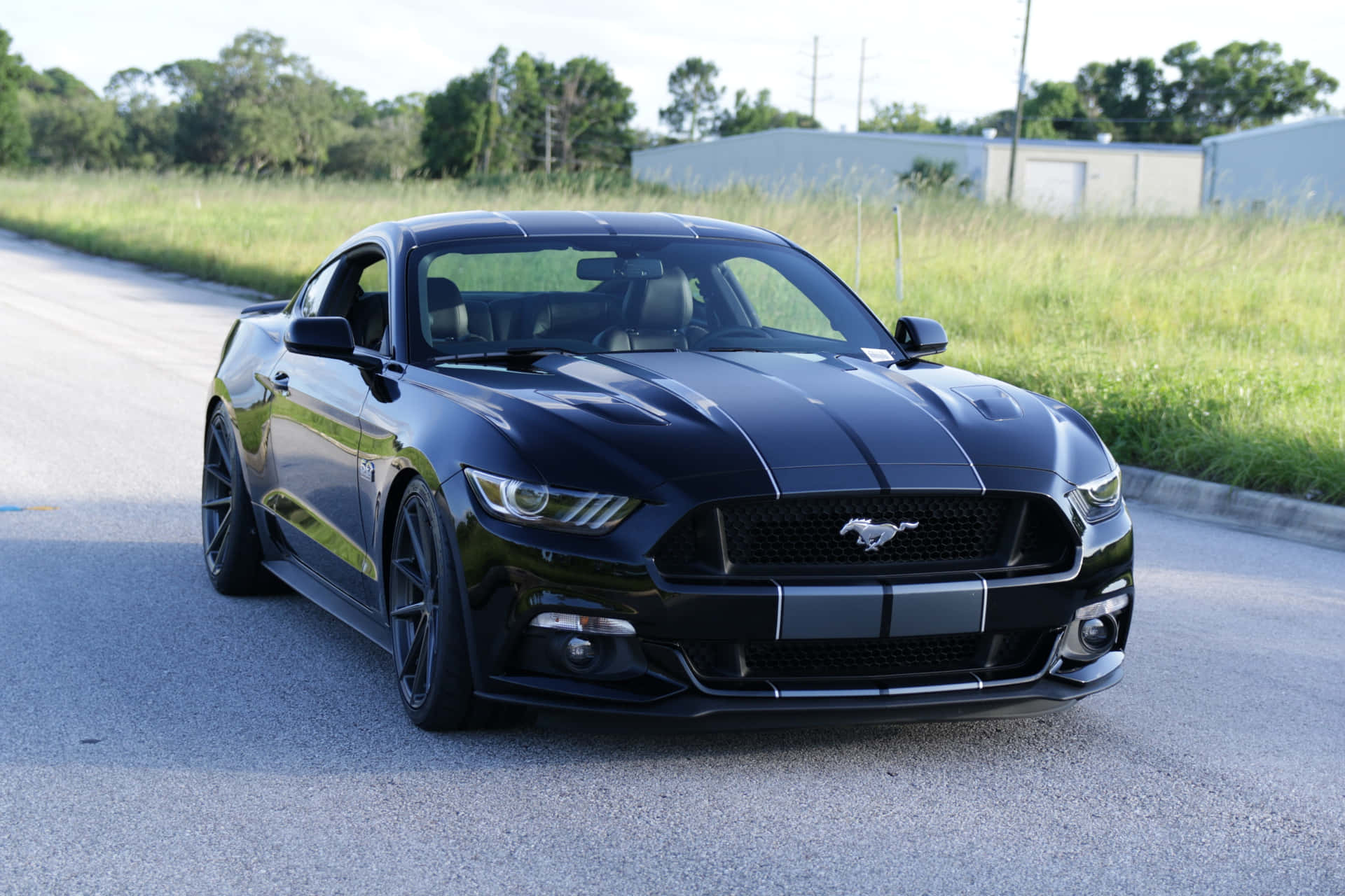 A Black Ford Mustang Is Driving Down The Road