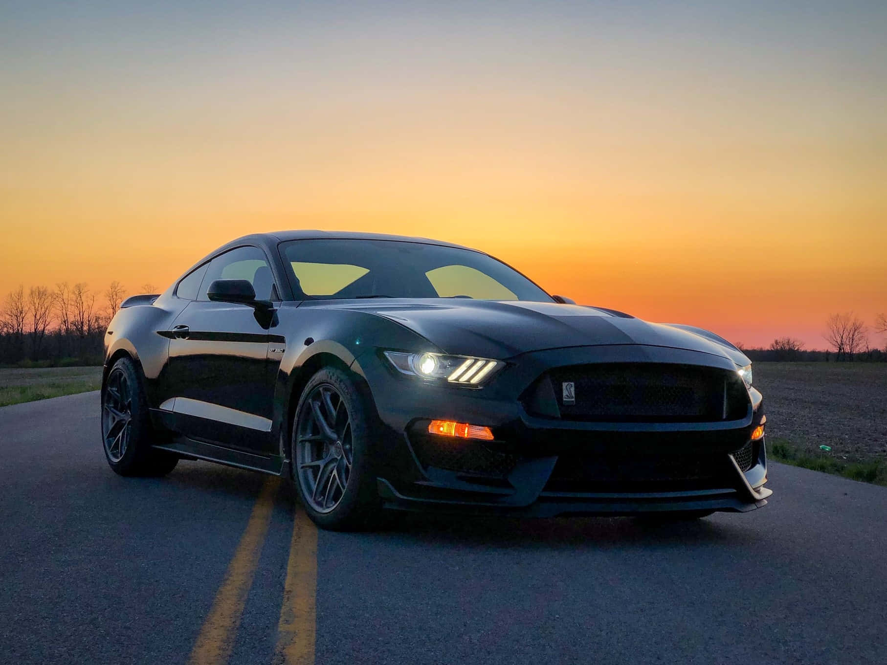 Ford Mustang GT, the ultimate muscle car