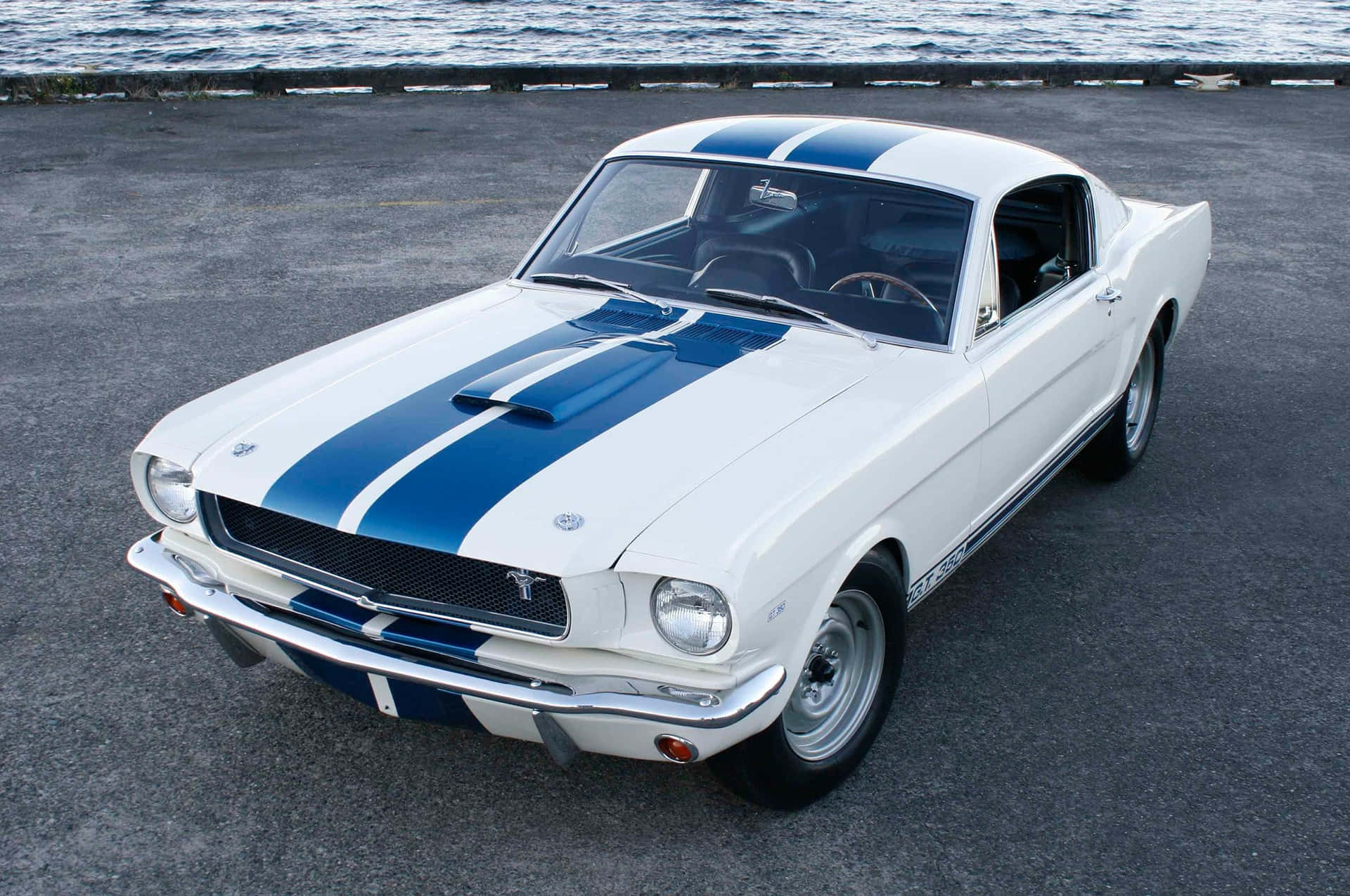 The Mustang - The Iconic American Muscle Car