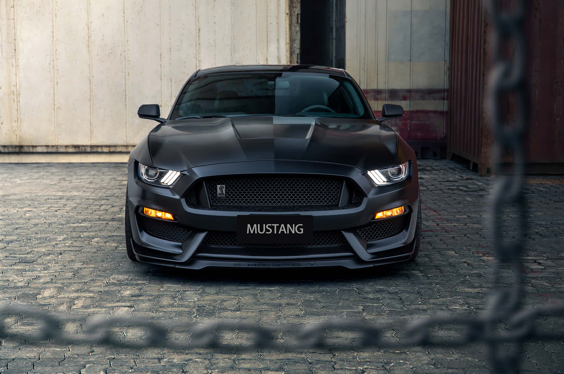 Mustang3000 X 1988 Hintergrund
