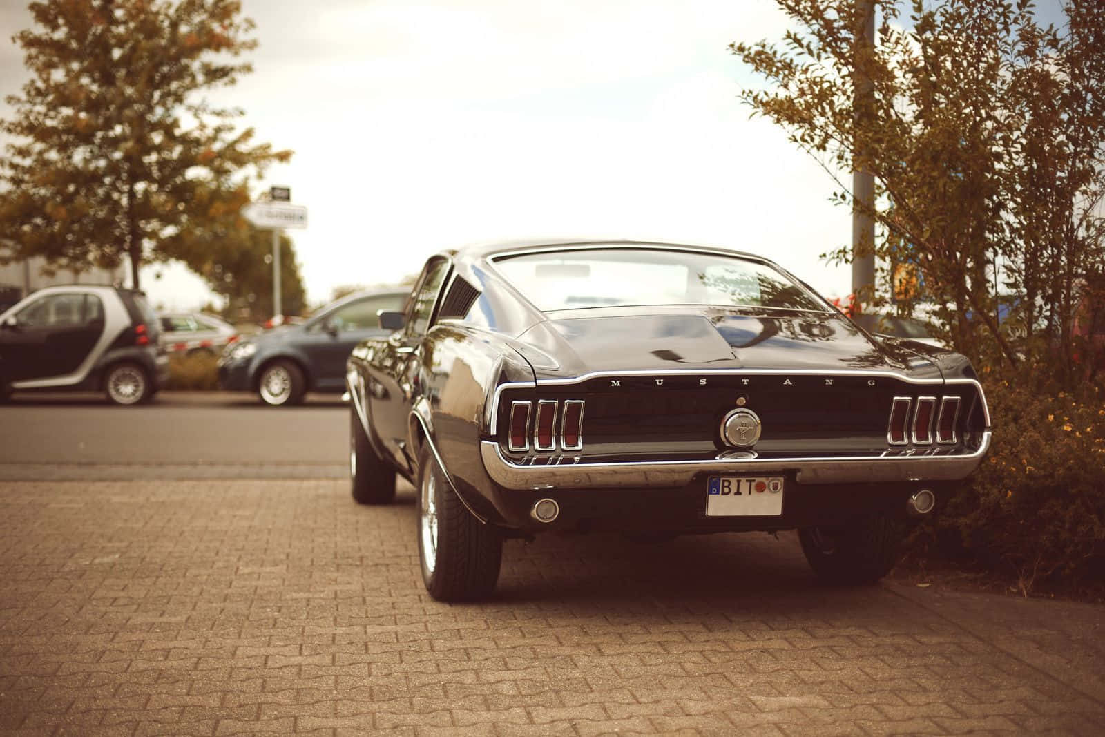 Mustangargentato E Elegante Che Crociera Su Una Strada Aperta