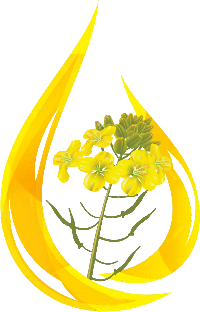 Mustard Flower Flame Graphic PNG
