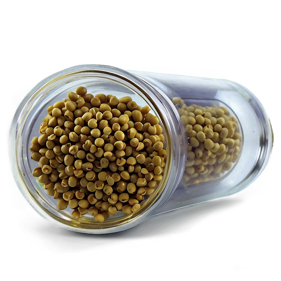 Download Mustard Seed Jar Png 05242024 | Wallpapers.com