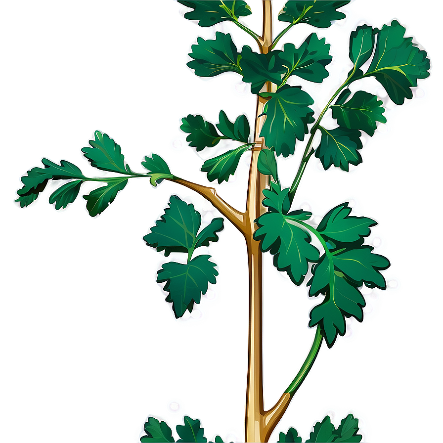 Mustard Seed Plant Png 05242024 PNG