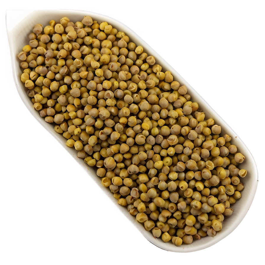 Mustard Seed Spice Png 05242024 PNG