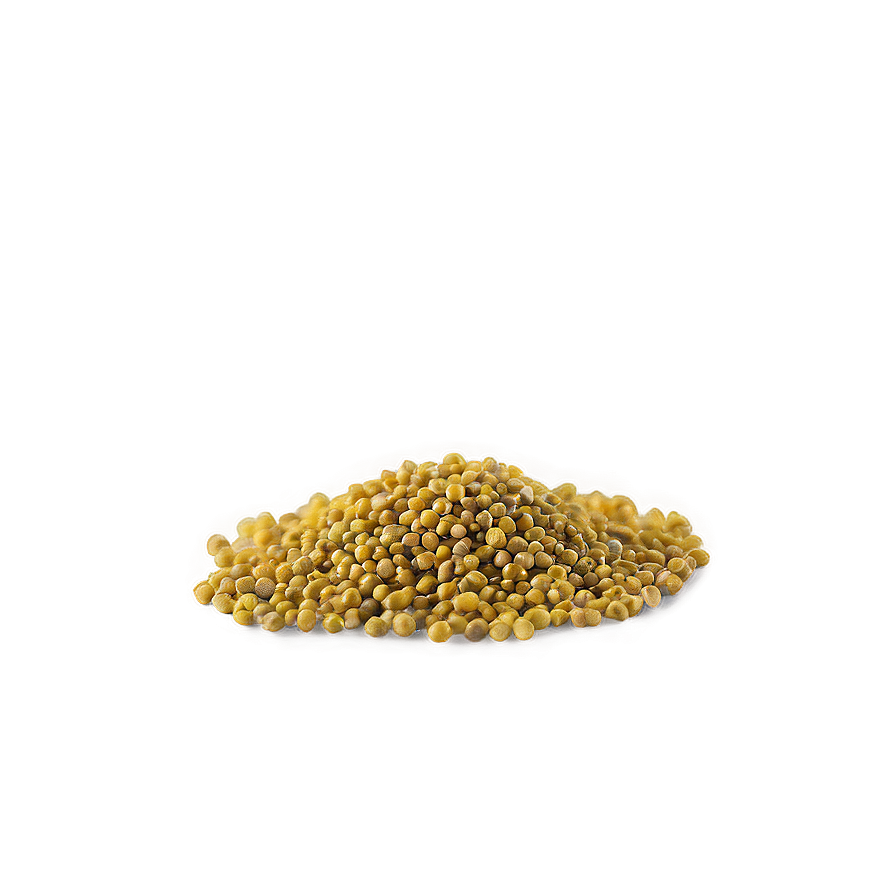 Mustard Seed Spice Png Imv PNG