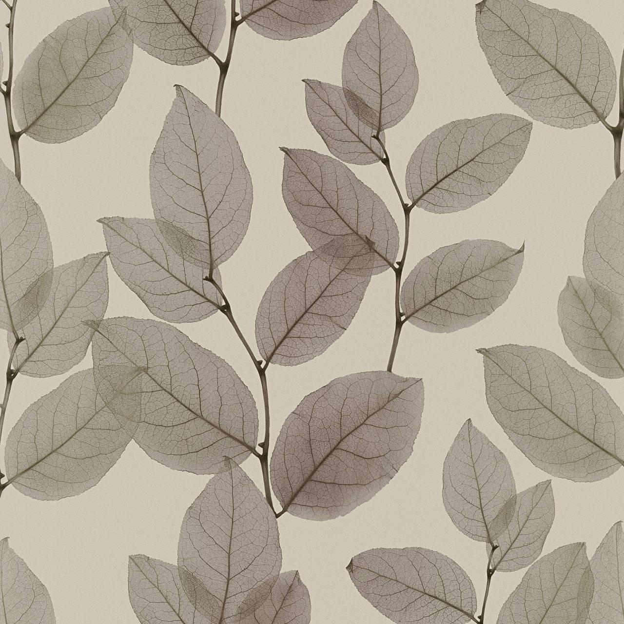 Muted greyscale leaf, the perfect backdrop for any surface. Wallpaper